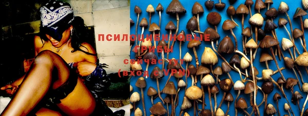 прущая мука Пролетарск