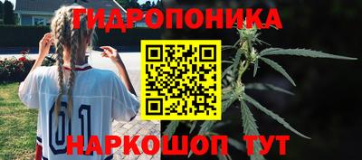 ECSTASY Ливны