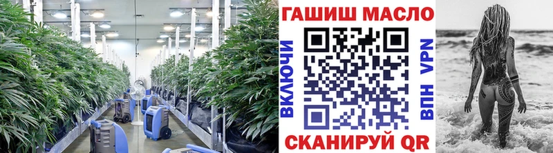 ТГК Wax Касимов