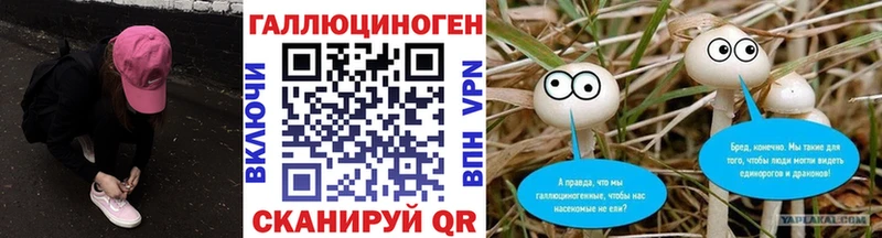 наркошоп  даркнет как зайти  Галлюциногенные грибы MAGIC MUSHROOMS  Касимов  OMG вход 